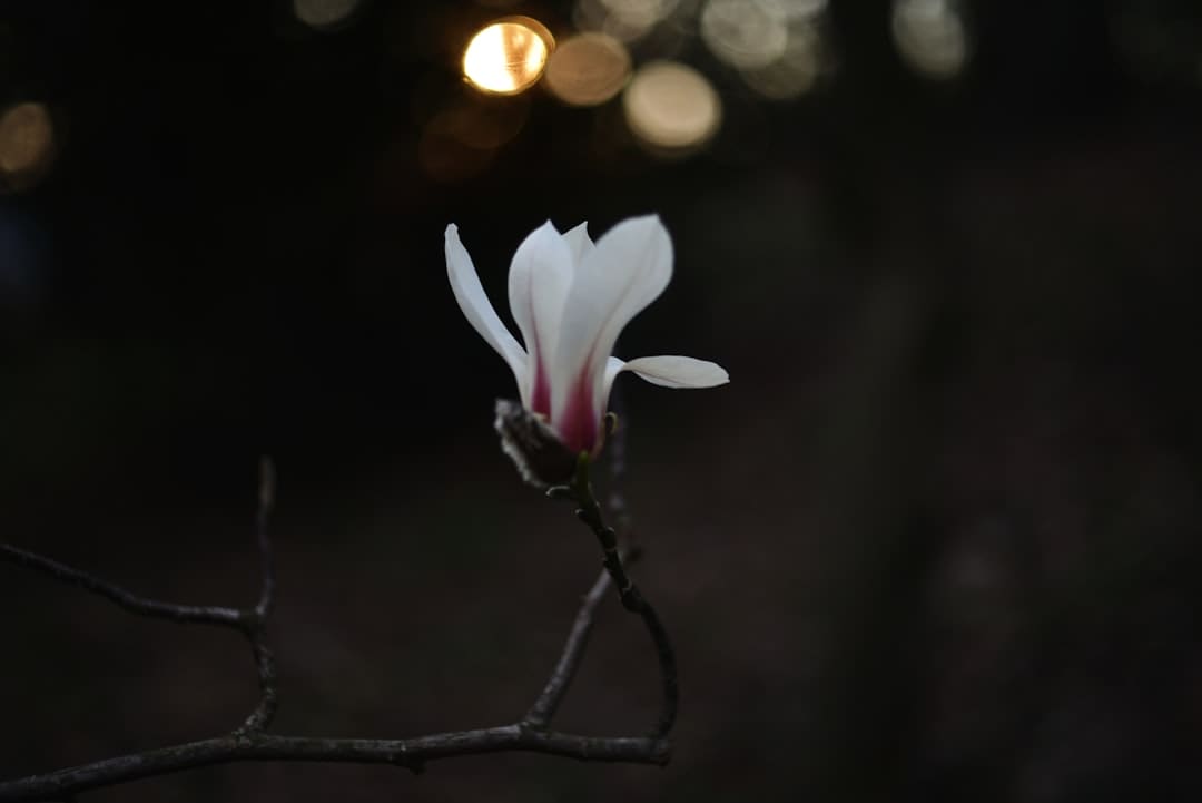 更多医疗机构将完善无障碍环境建设